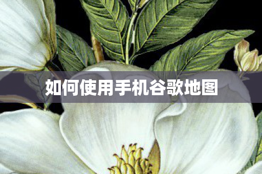 如何使用手机谷歌地图 如何使用手机谷歌地图