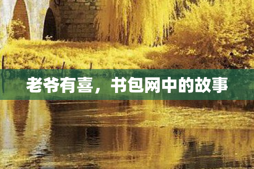 老爷有喜，书包网中的故事