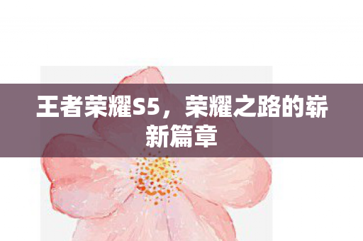王者荣耀S5，荣耀之路的崭新篇章