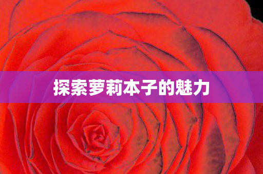 探索萝莉本子的魅力