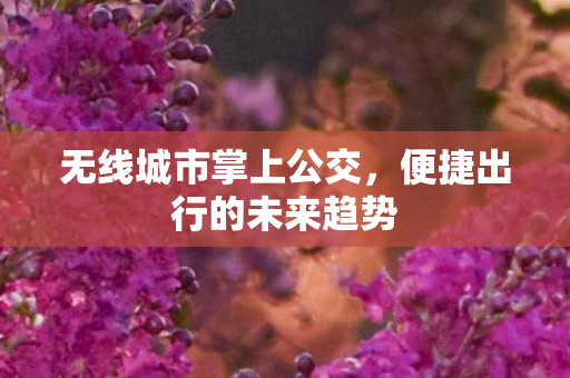 无线城市掌上公交，便捷出行的未来趋势
