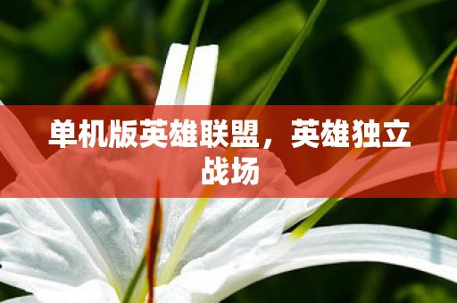 单机版英雄联盟，英雄独立战场