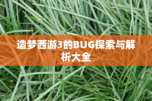 造梦西游3的BUG探索与解析大全
