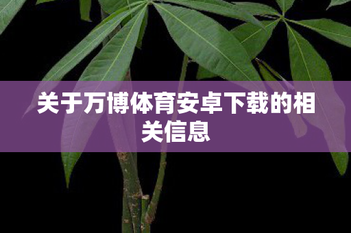 关于万博体育安卓下载的相关信息