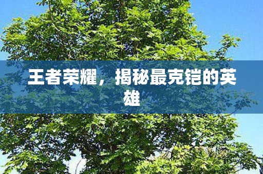 王者荣耀，揭秘最克铠的英雄