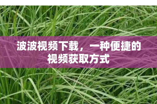 波波视频下载，一种便捷的视频获取方式