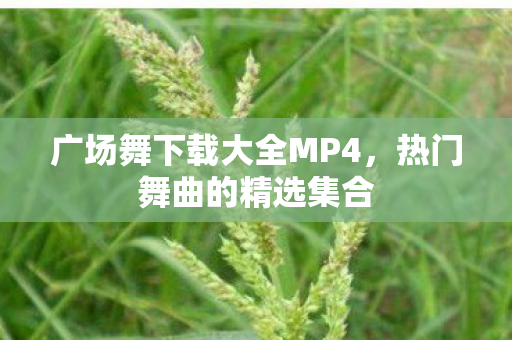 广场舞下载大全MP4，热门舞曲的精选集合