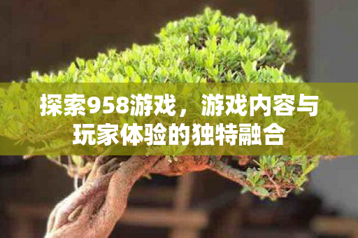 探索958游戏，游戏内容与玩家体验的独特融合