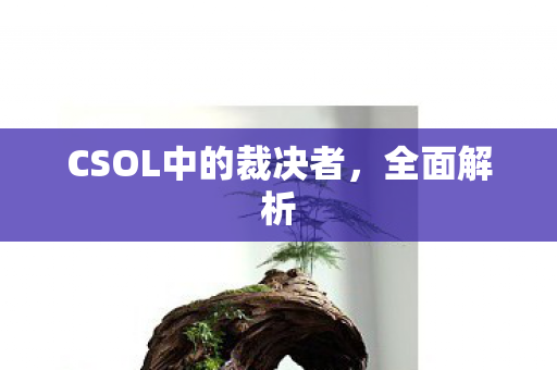 CSOL中的裁决者，全面解析