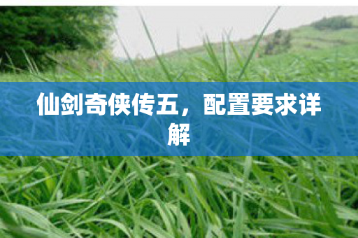 仙剑奇侠传五，配置要求详解