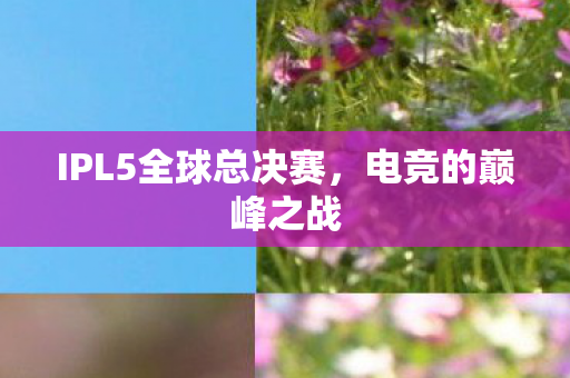 IPL5全球总决赛，电竞的巅峰之战
