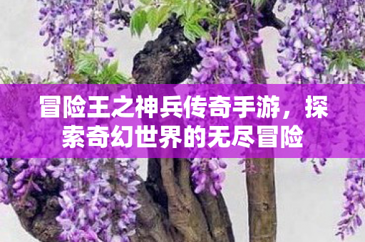 冒险王之神兵传奇手游，探索奇幻世界的无尽冒险