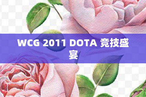 WCG 2011 DOTA 竞技盛宴