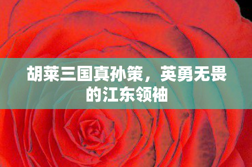 胡莱三国真孙策，英勇无畏的江东领袖