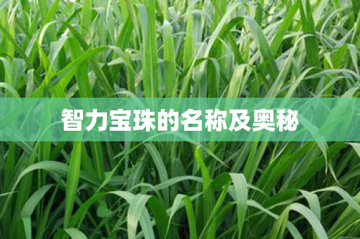 智力宝珠的名称及奥秘