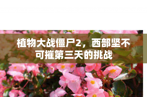 植物大战僵尸2，西部坚不可摧第三天的挑战