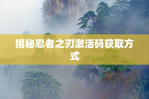揭秘忍者之刃激活码获取方式