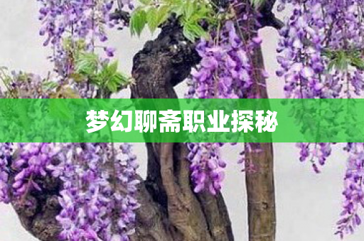 梦幻聊斋职业探秘