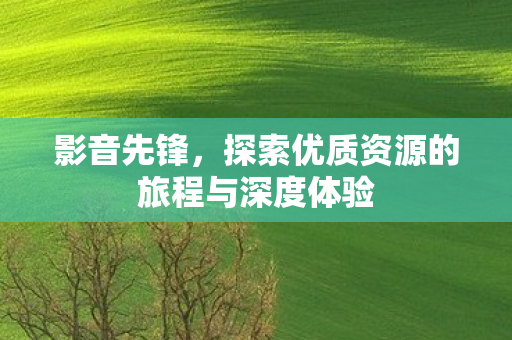 影音先锋，探索优质资源的旅程与深度体验