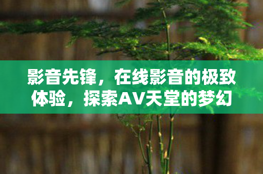 影音先锋，在线影音的极致体验，探索AV天堂的梦幻之旅