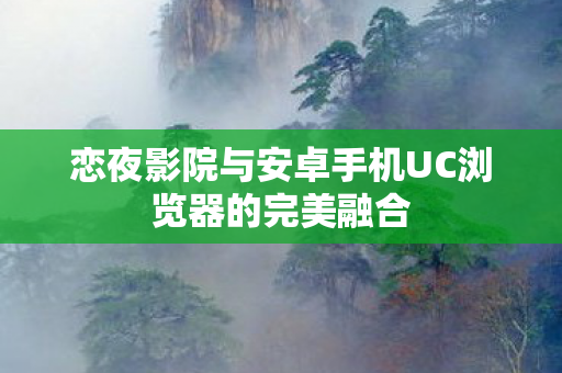 恋夜影院与安卓手机UC浏览器的完美融合