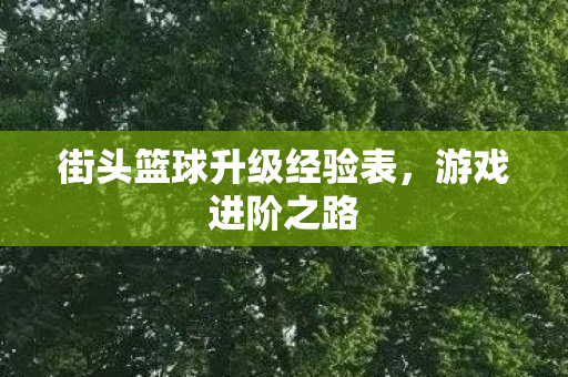 街头篮球升级经验表，游戏进阶之路