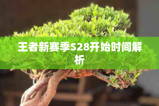 王者新赛季S28开始时间解析