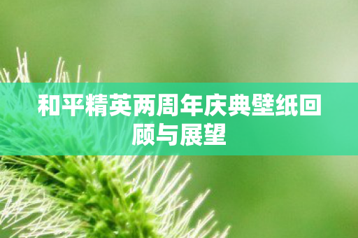 和平精英两周年庆典壁纸回顾与展望