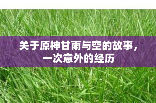 关于原神甘雨与空的故事，一次意外的经历