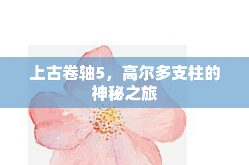 上古卷轴5,高尔多支柱的神秘之旅 上古卷轴5,高尔多支柱的神秘之旅
