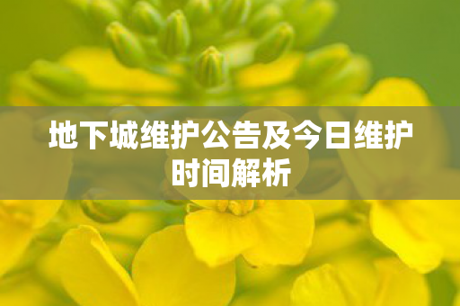 地下城维护公告及今日维护时间解析