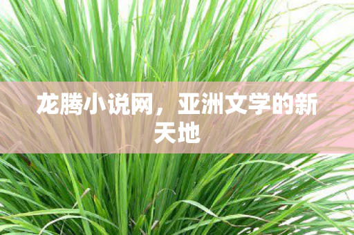 龙腾小说网，亚洲文学的新天地