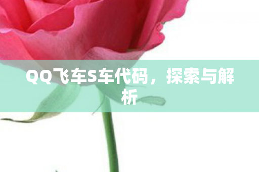 QQ飞车S车代码，探索与解析