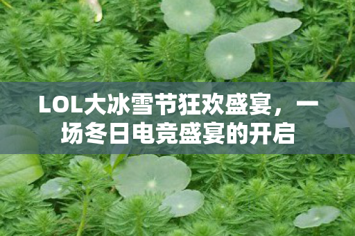 LOL大冰雪节狂欢盛宴，一场冬日电竞盛宴的开启