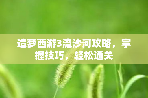 造梦西游3流沙河攻略，掌握技巧，轻松通关