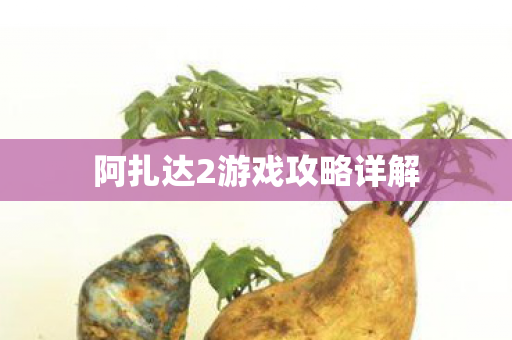 阿扎达2游戏攻略详解