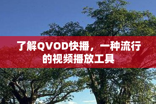 了解QVOD快播，一种流行的视频播放工具