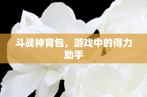 斗战神背包,游戏中的得力助手 斗战神背包,游戏中的得力助手