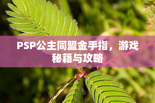 PSP公主同盟金手指，游戏秘籍与攻略