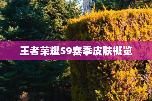 王者荣耀S9赛季皮肤概览