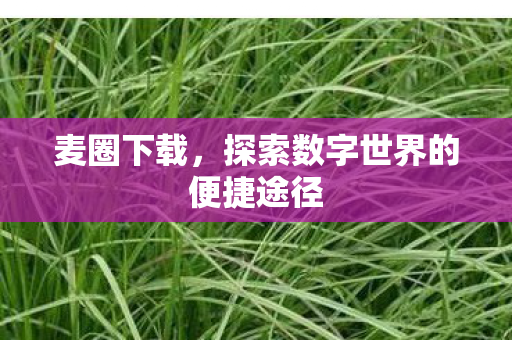 麦圈下载，探索数字世界的便捷途径