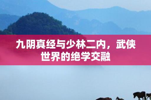 九阴真经与少林二内，武侠世界的绝学交融