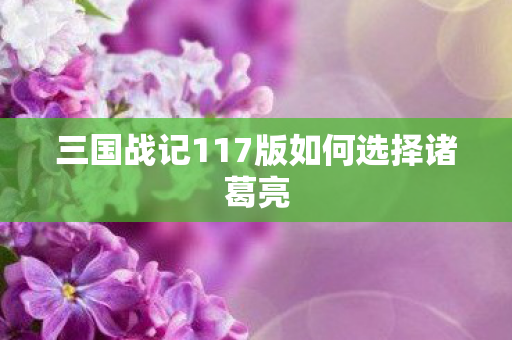 三国战记117版如何选择诸葛亮