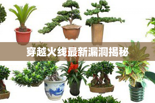 穿越火线最新漏洞揭秘