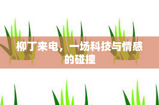 柳丁来电，一场科技与情感的碰撞