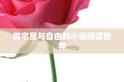 御宅屋与自由的小说阅读世界