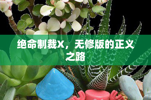 绝命制裁X，无修版的正义之路