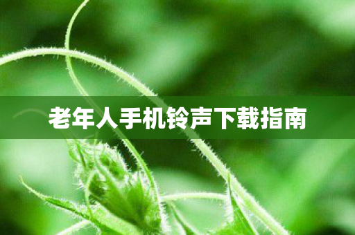 老年人手机铃声下载指南