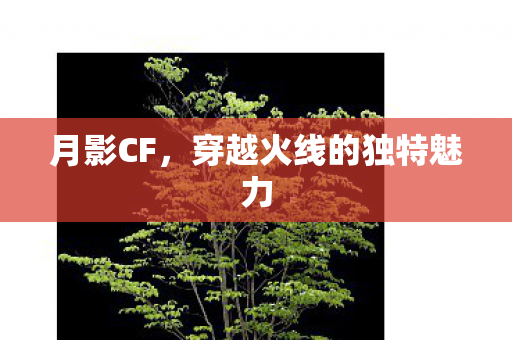 月影CF，穿越火线的独特魅力