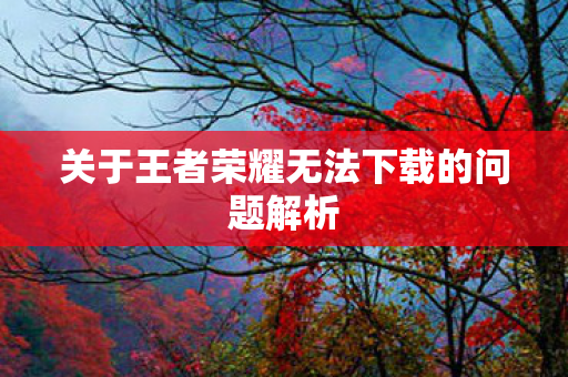 关于王者荣耀无法下载的问题解析